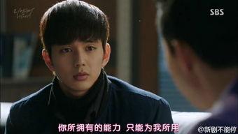 remember儿子的战争在线观看,重温记忆，探寻和平之路